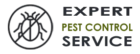 Emergency Exterminator Company Issaquah WA
